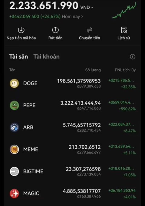 A Vietnamese cryptocurrency portfolio showing 2.233.651.990 VND total, with holdings in DOGE, PEPE, ARB, MEME, BIGTIME, and MAGIC coins.