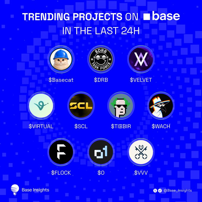 An infographic titled 'TRENDING PROJECTS ON base IN THE LAST 24H' displaying ten circular logos with ticker symbols: $Basecat, $DRB, $VELVET, $VIRTUAL, $SCL, $TIBBIR, $WACH, $FLOCK, $0, and $VVV, credited to Base Insights.