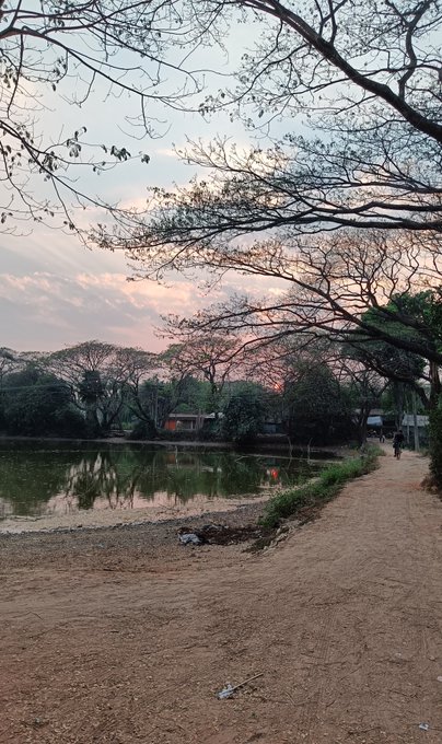A serene lakeside path stretches into the distance at sunrise, with bare tree branches framing a soft pink and orange sky reflected in the calm water. The peaceful morning scene complements the "Happy Friday / Good morning" greeting to @BeldexCoin, evoking the calm optimism of a new day's start.