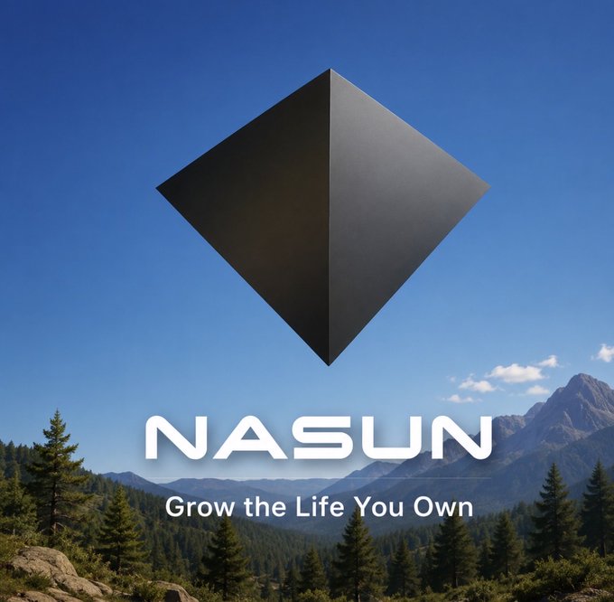 Promotional image for NASUN with the tagline 'Grow the Life You Own' showing a black diamond shape over a mountain landscape.