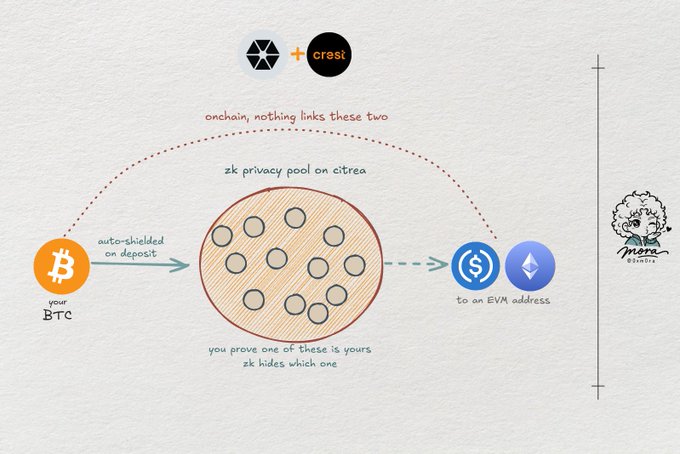 A diagram explaining a privacy bridge between Bitcoin and Citrea/EVM, showing BTC being auto-shielded through a 2k privacy pool using zk proofs.