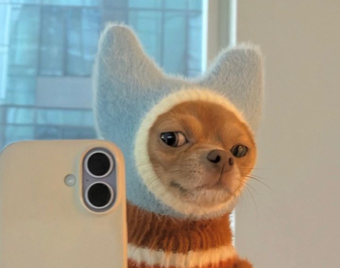 An orange tabby cat wearing a light blue fuzzy hood with pointed ears, posing for a selfie-style photo with a yellow smartphone in the foreground.