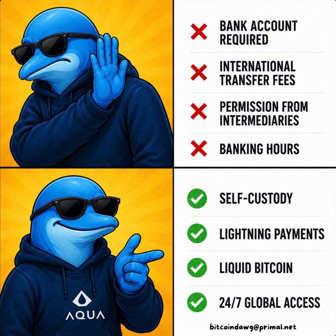 The image features a cartoon blue dolphin wearing sunglasses, giving off an air of coolness and confidence. Below the dolphin, there are two columns with different text boxes containing information about the wallet being compared to a bank account. The first column lists the terms "Bank Account Required", "International Transfer fees from intermediaries", and "Permission from banks". The second column highlights the wallet's features such as "Self-custody", "Lightning payments", "Global access", and "24/7 global access".