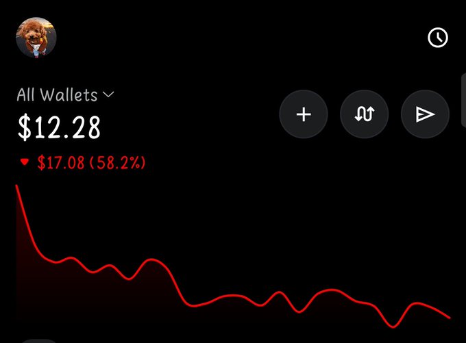 A cryptocurrency wallet dashboard showing a total balance of $12.28, down $17.08 (58.2%) from previous value, displayed with a red declining line graph.