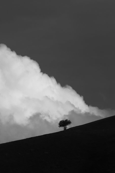 A black and white photograph showing a solitary tree on a dark hillside beneath a dramatic mass of billowing clouds.