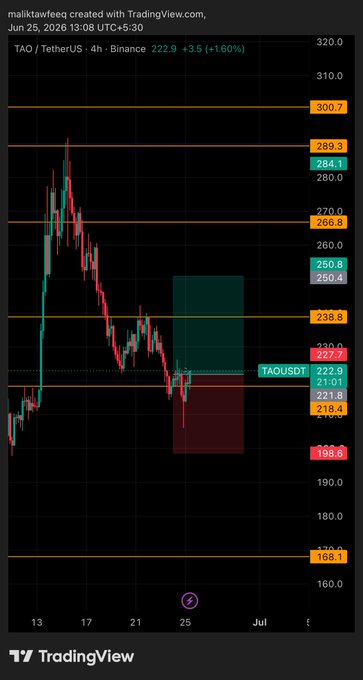 A 4-hour TradingView chart of TAO/USDT on Binance shows the price at 222.9, up 1.60% (+3.5), trading within a highlighted resistance zone around 238.8 and support near 198.6 following a sharp decline from the 289 area. Key levels marked include 168.1, 198.6, 222.9, 250.8, 266.8, 289.3, and 300.7.