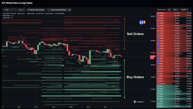 The image displays a BTC "Whale Orders & Large Trades" heatmap on the 2-hour chart, showing significantly more green buy orders stacked beneath the $82,072 price level than red sell orders above it. This visual imbalance supports the post's claim that whales are positioned to buy dips, with current price action showing candles hovering just above the dense green whale buy wall.