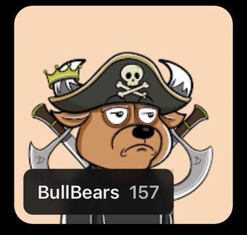 A cartoon profile picture of a grumpy dog dressed as a pirate with crossed axes, labeled 'BullBears 157'.