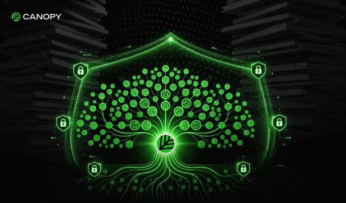 Digital graphic for 'CANOPY' featuring a glowing green tree-within-a-shield design with multiple lock icons, symbolizing digital security.