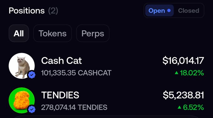 A "Positions" portfolio screen displays two open holdings—**Cash Cat ($CASHCAT)** at 101,335.35 tokens valued at $16,014.17 (+18.02%) and **TENDIES ($TENDIES)** at 278,074.14 tokens valued at $5,238.81 (+6.52%)—supporting the post's claim that these meme tokens are showing significant gains and poised for new all-time highs.