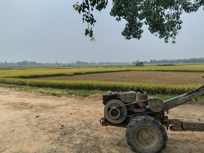 The image shows a tractor sitting idle in an open field, surrounded by tall grasses. The tractor appears to be old-fashioned or vintage, suggesting that it might have been used for agricultural purposes long ago. In the background, there are trees visible, adding to the rural atmosphere of the scene. The post about Nomisma Network also mentions a social media platform called @useTria and another one named @base. This could indicate that the tractor is located in an area where farming or agriculture is still prevalent, and people use these platforms for sharing information, connecting with others who share similar interests, or promoting their work.