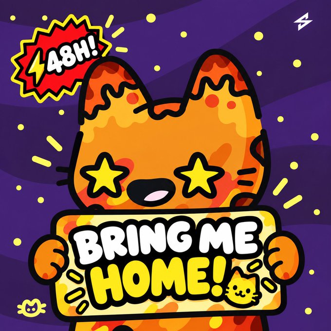 A colorful cartoon character with star eyes holds a sign reading "BRING ME HOME!" with a "48H!" burst graphic on a purple background.