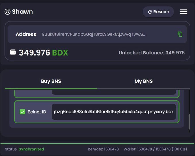 The image shows a Beldex wallet interface for user "Shawn" displaying an address and a balance of 349.976 BDX, with the "Buy BNS" tab active showing a registered Belnet ID ("jbzg6nqs688eln3bti6ter4kt5q4u5bslc4quutpnyxsxy.bdx"). The image illustrates the BNS (Beldex Name Service) feature mentioned in the post, showing how a complex wallet address is paired with a human-readable .bdx name that makes the Beldex ecosystem easier to use.