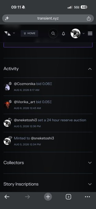 A mobile browser screenshot of transient.xyz showing recent activity, bids, and mints for NFTs.