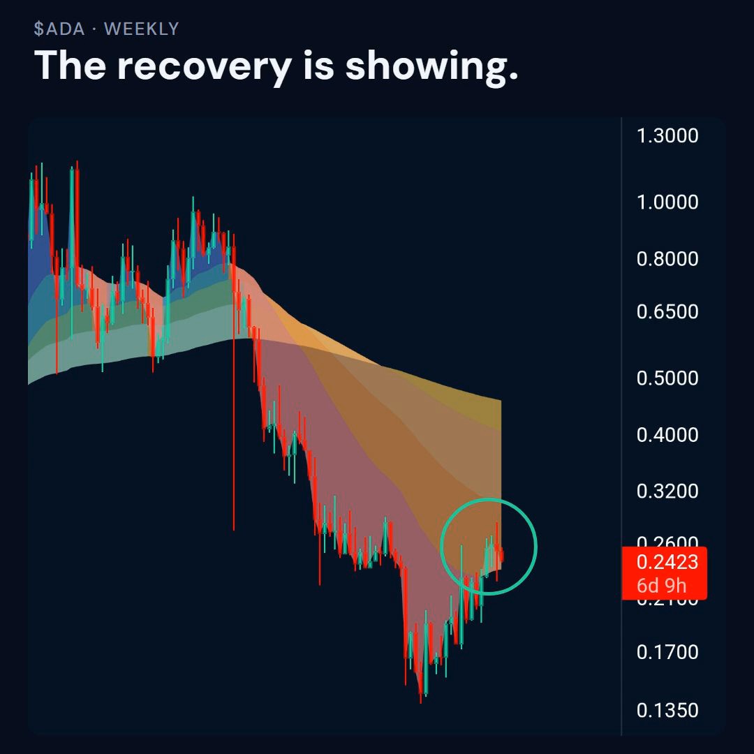 A weekly candlestick chart of $ADA shows price at 0.2423 (highlighted in a teal circle), with the caption "The recovery is showing" above the chart. The post contextualizes this by explaining that while the price appears to be recovering toward the moving average band, all the color indicators remain red—indicating this is only a bounce rather than a confirmed trend reversal until green waves appear and price sustains above the band.