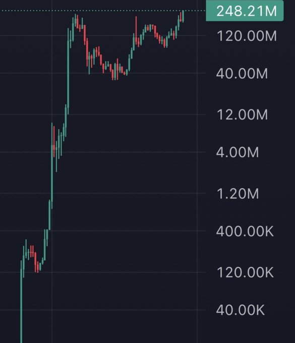 A cryptocurrency price chart displayed in a dark theme showing a dramatic upward trend from 40.00K to a current value of 248.21M, marked on a logarithmic scale.