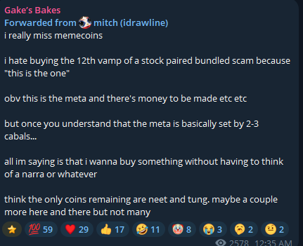 A screenshot of a Discord post from "Gake's Bakes" forwarded from "idrawline" discussing the purchase of memecoins and mentioning the remaining coins are "neet and tung."