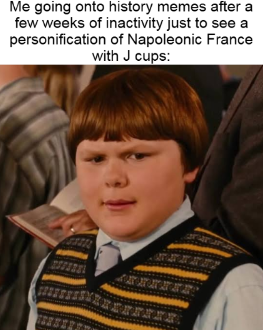 A meme featuring a confused-looking young boy with the text: 'Me going onto history memes after a few weeks of inactivity just to see a personification of Napoleonic France with J cups:'