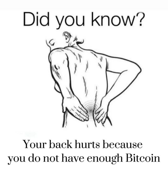 A 'Did you know?' meme shows a line drawing of a person holding their back in pain, with the caption 'Your back hurts because you do not have enough Bitcoin'.