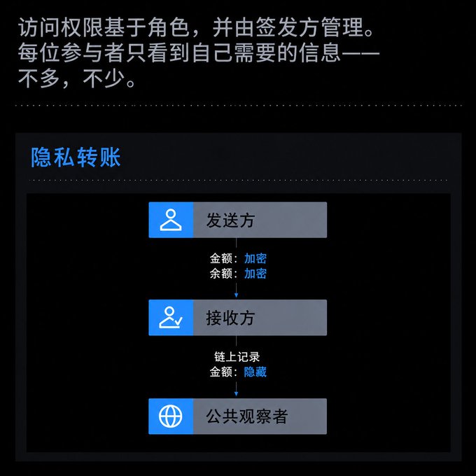 The image is a Chinese-language infographic illustrating Sui's "隐私转账" (Privacy Transfers) feature, showing a flow diagram where the sender encrypts the amount and balance, the recipient records the transaction on-chain with the amount hidden, and public observers can only view the chain record without seeing the transfer amount. This visually supports the post's message that role-based, issuer-managed access ensures transaction amounts remain hidden from competitors, with each participant seeing only what they need.