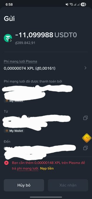 A mobile cryptocurrency wallet interface showing a transaction sending -11,099988 USDT0 (≈$289,842.91) on the Plasma network, with a warning that the user needs 0.00000148 XPL more to cover network fees, with 'Hủy bỏ' (Cancel) and 'Xác nhận' (Confirm) buttons.