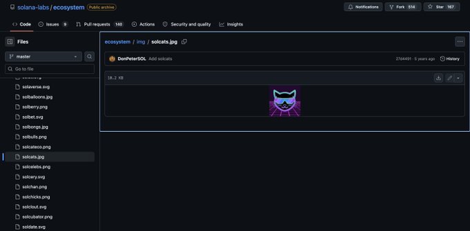 A GitHub repository page for solana-labs/ecosystem showing the solcats.jpg file with a preview of the Solcats NFT logo featuring a purple cat.