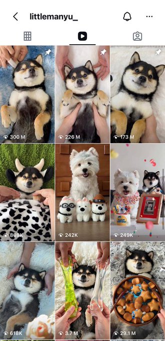 The image shows an Instagram profile for "littlemanyu_" featuring a grid of viral photos and videos of a Shiba Inu puppy, many with hundreds of millions of views (300M, 226M, 173M, 3.7M, 28.1M), supporting the post's claim about $MANYU's consistent organic demand driven by the dog's massive cross-platform social media reach.