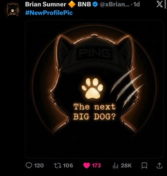 In the image, there's a poster for a new meme featuring a black cat with a hat on its head. The text below the cat reads "The next big dog?" In addition, some numbers are present within the graphic. There's also a tweet from Brian Summer posted alongside the image. This post likely includes information about the meme and potentially promotes the meme to followers on Twitter.