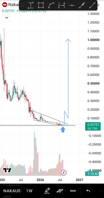 A TradingView weekly chart of $NAKAUSI shows the stock declining from above $1.00 down to a support zone around $0.02751, with annotations indicating a potential bullish reversal and a large blue arrow pointing upward toward $1.00, aligning with the post's 2x–4x upside target from the $0.025–$0.027 buy zone.