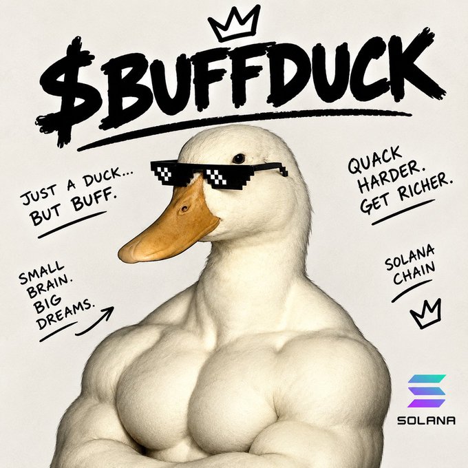 A meme image of a muscular duck wearing pixelated 'deal with it' sunglasses, with text reading '$BUFFDUCK', 'JUST A DUCK... BUT BUFF.', 'SMALL BRAIN. BIG DREAMS.', 'QUACK HARDER. GET RICHER.', 'SOLANA CHAIN', and the Solana logo.