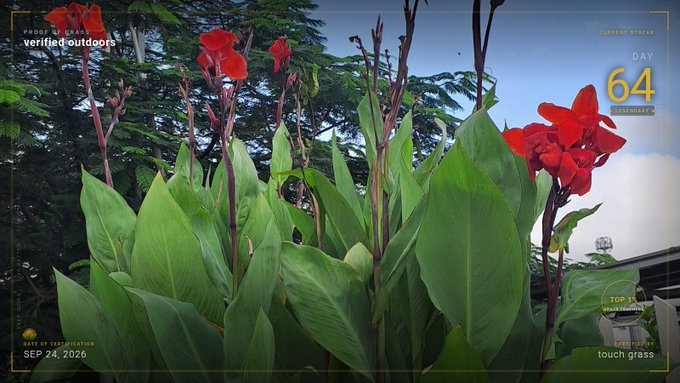 A stylized photo of red canna lilies with green leaves, featuring overlays that read 'verified outdoors,' 'CURRENT STREAK DAY 64,' 'SEP 24, 2026,' and 'touch grass.'