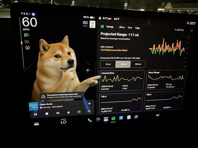 A photograph of a Tesla vehicle's infotainment screen displaying the 'Energy' app with a projected range of 117 mi and various consumption graphs; a Shiba Inu dog is humorously photoshopped onto the screen pointing at the data.