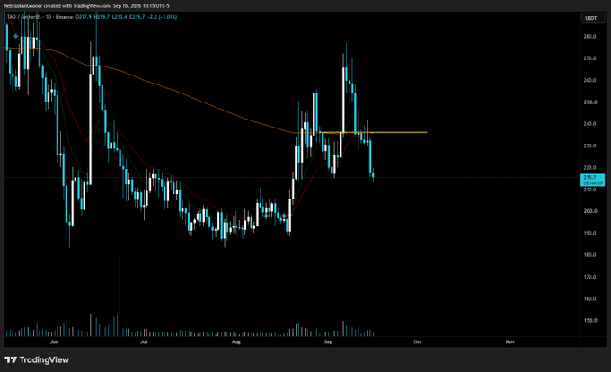A TradingView daily candlestick chart of TAO/Binance (priced at 215.7, down 9.01%) shows the asset losing key horizontal support near 230, confirming the post's observation that the token "lost that support level and faded fast" after a September rally attempt failed.