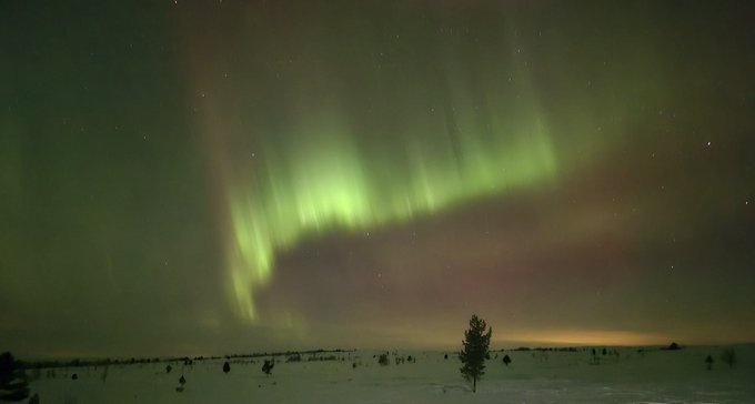 A vibrant green aurora borealis stretches across a starry night sky over a dark, snow-covered landscape with scattered trees.