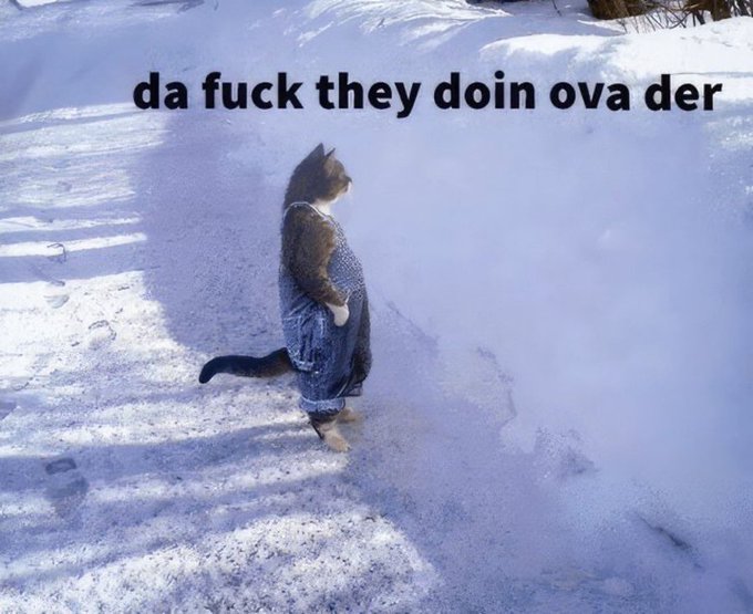 The image shows a cat wearing a knit sweater standing on snow, with the text "da fuck they doin ova der" overlaid at the top. 

The meme humorously captures the moment of confusion and overwhelm the user might feel when witnessing their app dramatically streamlining a tedious task—the cat's bewildered, mid-stride expression mirrors the "what is happening right now" reaction to seeing a 30-45 minute job suddenly done in 20-30 seconds.