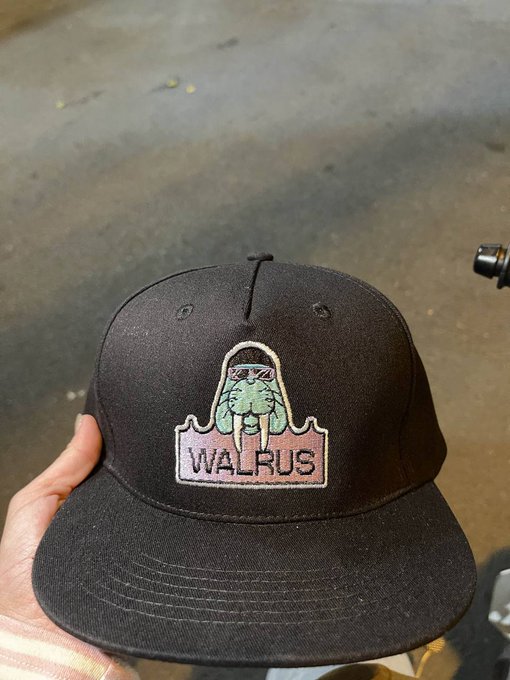 A hand holds a black snapback cap featuring a colorful embroidered patch of a walrus wearing sunglasses with the word 'WALRUS' below it.