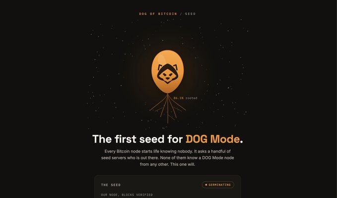 A dark webpage titled 'DOG OF BITCOIN / SEED' featuring an orange egg-shaped graphic with a dog face, describing 'The first seed for DOG Mode' and explaining how DOG Mode nodes work in the Bitcoin network.