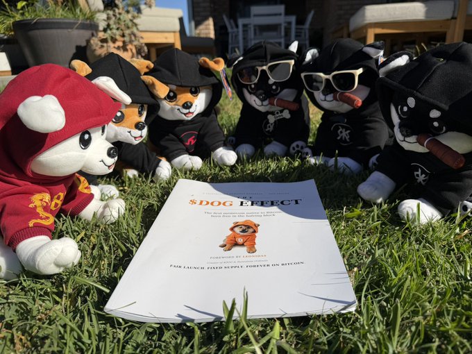 Plush dog toys in hoodies and sunglasses sit on grass around a book titled '$DOG ERECT - FOREWARD BY CZ@BINANCE - FAIR LAUNCH FIXED SUPPLY FOREVER ON BITCOIN.'
