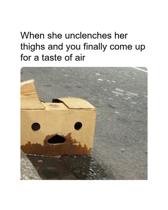 A meme showing a wet cardboard box with a shocked face drawn on it, with the text 'When she unclenches her thighs and you finally come up for a taste of air'.