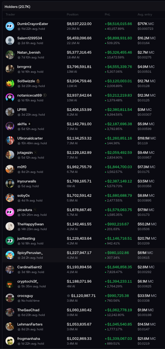 A dark-themed cryptocurrency tracking dashboard showing a list of top holders with their positions, P&L percentages, and average entry prices in USDC.