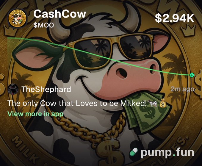 A pump.fun meme coin called 'CashCow' ($MOO) featuring a cartoon cow with sunglasses and dollar bills in its mouth, with the tagline 'The only Cow that Loves to be Milked!' posted by TheShephard.