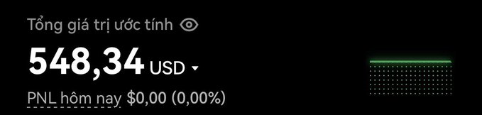 A financial interface displays "Tổng giá trị ước tính" (Estimated total value) of "548,34 USD" and "PNL hôm nay $0,00 (0,00%)".