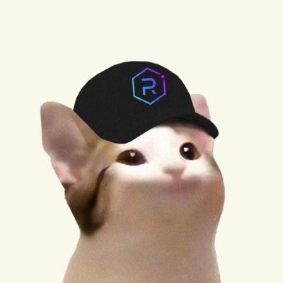 A cat wearing a black cap featuring a hexagonal "R" logo appears alongside the caption "GM CT, there’s money to be made," likely symbolizing the "GM" (good morning) crypto community greeting with a bullish outlook on making profits.