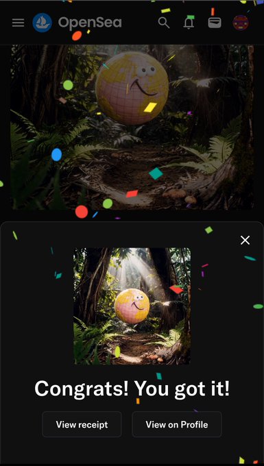 Screenshot of an OpenSea mobile interface showing a successful NFT purchase with confetti and the message 'Congrats! You got it!'.