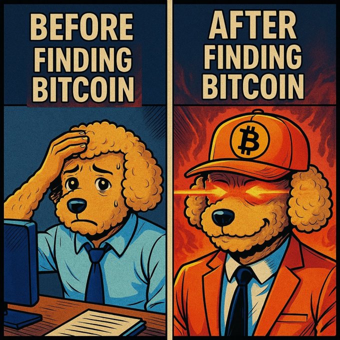A two-panel cartoon contrasting a stressed, sweating dog at a desk labeled 'BEFORE FINDING BITCOIN' with a confident dog in a suit and Bitcoin cap with glowing red eyes labeled 'AFTER FINDING BITCOIN'.