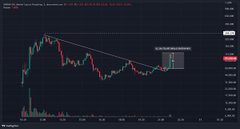 A stock chart displays a candlestick pattern for $GINNAN showing a sharp initial spike followed by a downtrend with a descending triangle forming, with overlaid text reading "Ok now $GINNAN and his friend are getting their walk on. 3x from entry HIGHOOOOR!" referencing the post's celebration of a tripled entry price.