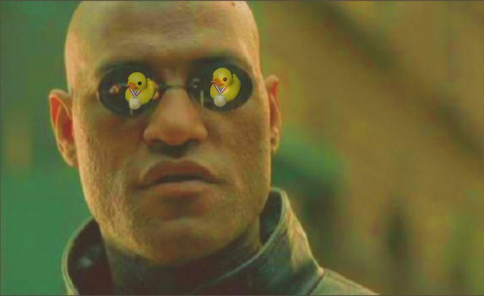 A scene from The Matrix featuring Morpheus wearing sunglasses with two small rubber ducks photoshopped into the lenses as reflections.