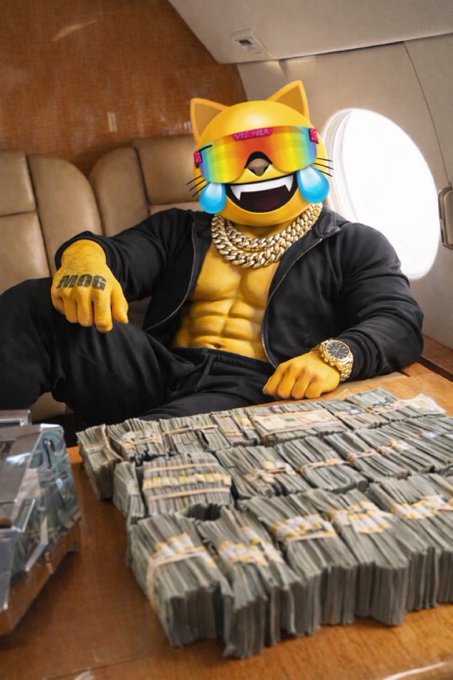 The image features a man dressed as a cat, sitting at a table with stacks of money around him. The caption reads "You have 2 choices: You can mog or You can get mogged Always be the mogger". This suggests that the man is promoting an idea related to the concept of "mogging", which could possibly be related to the cat character in the image, such as a mascot for a business or a promotional stunt.