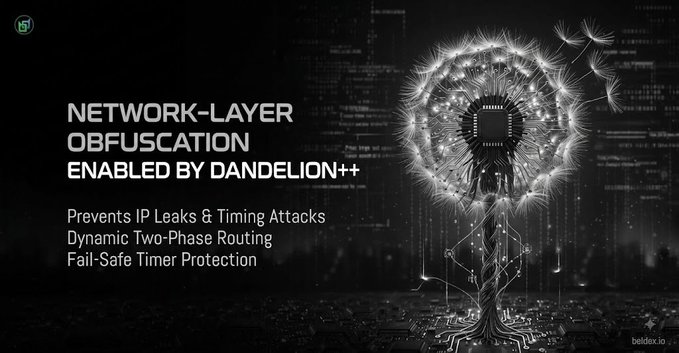 A dark promotional graphic advertising 'NETWORK-LAYER OBFUSCATION ENABLED BY DANDELION++' featuring a dandelion with a microchip, with bullet points: 'Prevents IP Leaks & Timing Attacks,' 'Dynamic Two-Phase Routing,' and 'Fail-Safe Timer Protection,' branded by beldex.io.