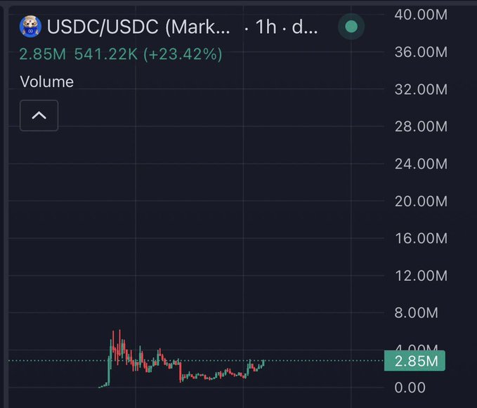 A crypto chart shows USDC/USDC trading pair volume on a 1-hour timeframe, displaying 2.85M in volume with a 23.42% increase (541.22K), illustrating the recent trading activity referenced in the post about $USDC's "CashCat" launch on the $ARGUS launchpad.